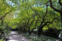 2011-09-30_1888 Central_Park_RM